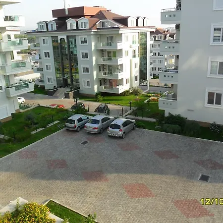 Apartament Olive City 2/9 *